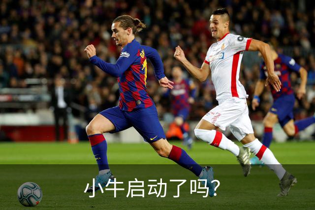 小牛启动了吗？
